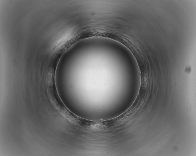 X0000091090468200708131323