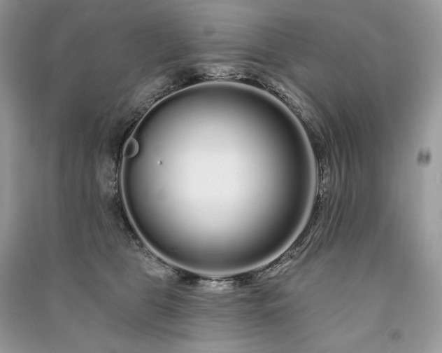X0000091090469200708131323