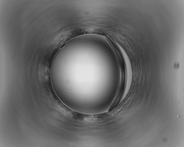 X0000091090470200708131323