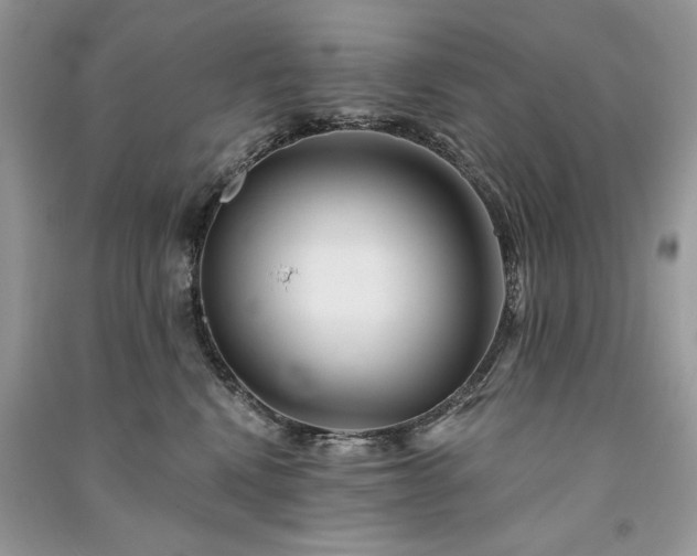 X0000091090472200708131323