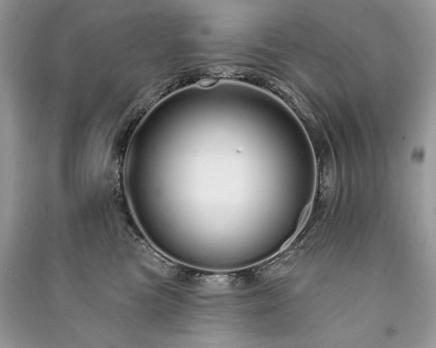 X0000091090473200708131323