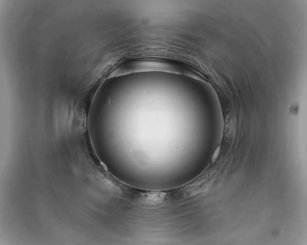 X0000091090474200708131323