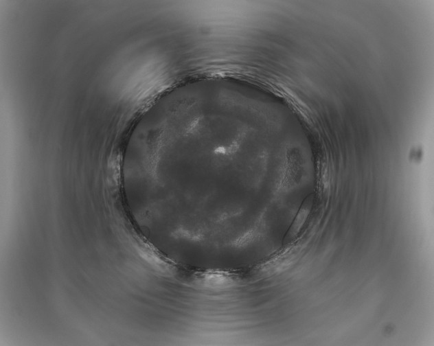 X0000091090475200708131323