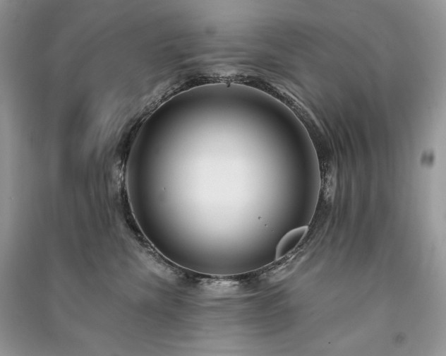 X0000091090476200708131323