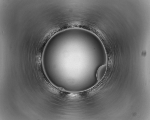 X0000091090477200708131323