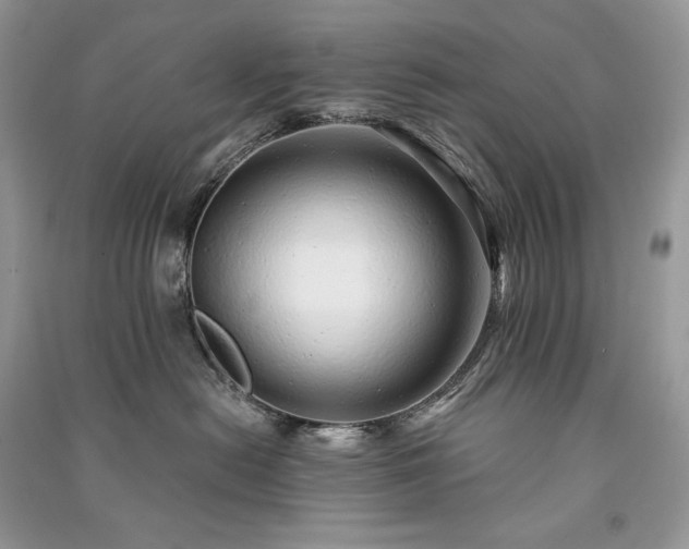 X0000091090478200708131323
