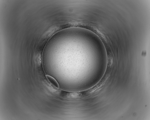 X0000091090479200708131323