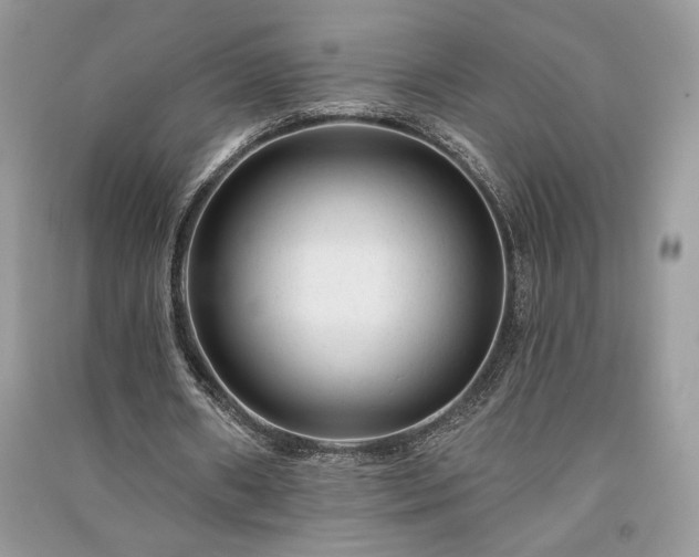 X0000091090482200708131323