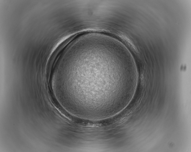 X0000091090484200708131323
