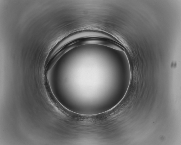 X0000091090485200708131323