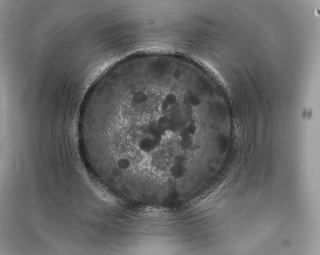 X0000091090487200708131323