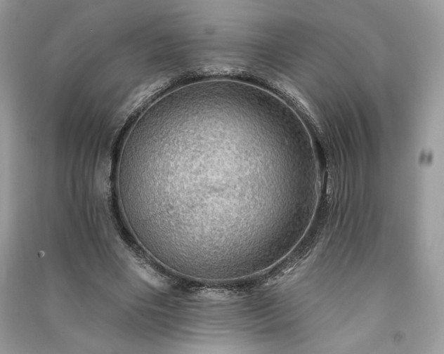 X0000091090490200708131323