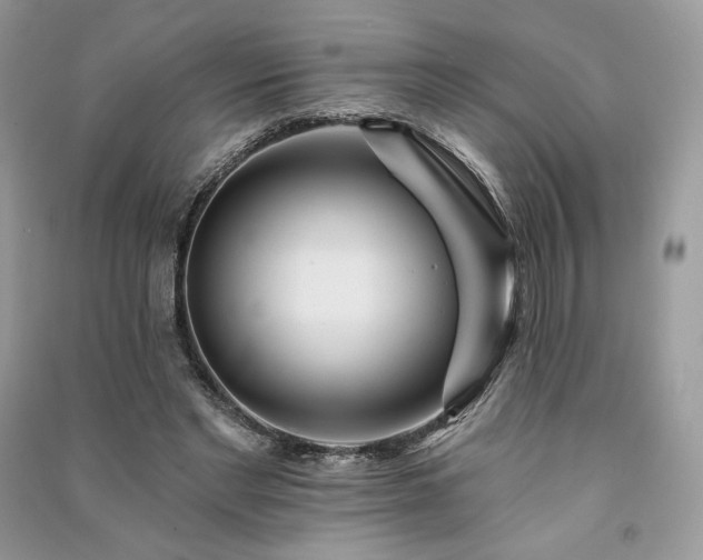 X0000091090493200708131322