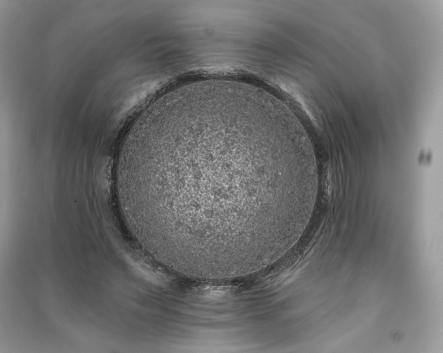 X0000091090495200708131322