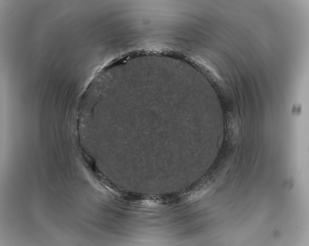 X0000091090496200708131322