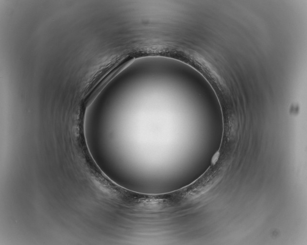 X0000091090497200708131322