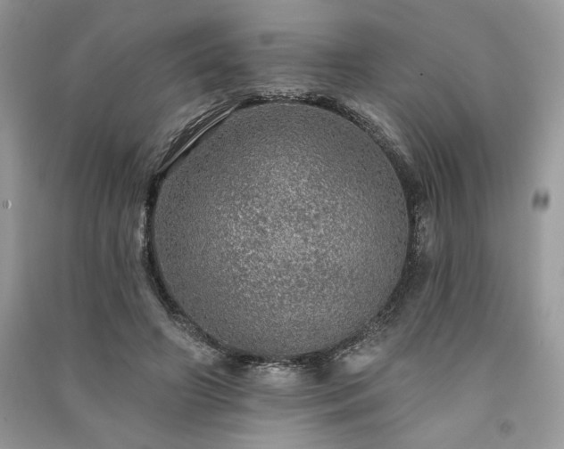 X0000091090498200708131322