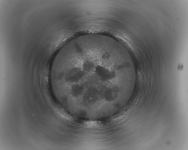 X0000091090499200708131322
