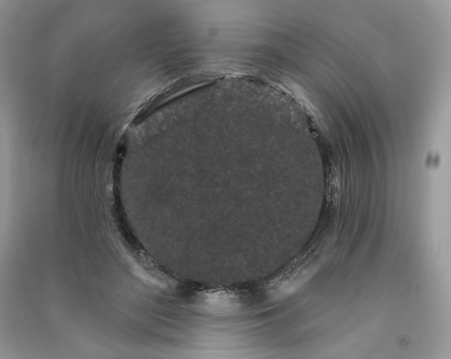 X0000091090500200708131322
