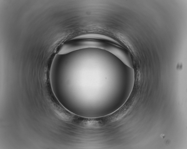 X0000091090501200708131322