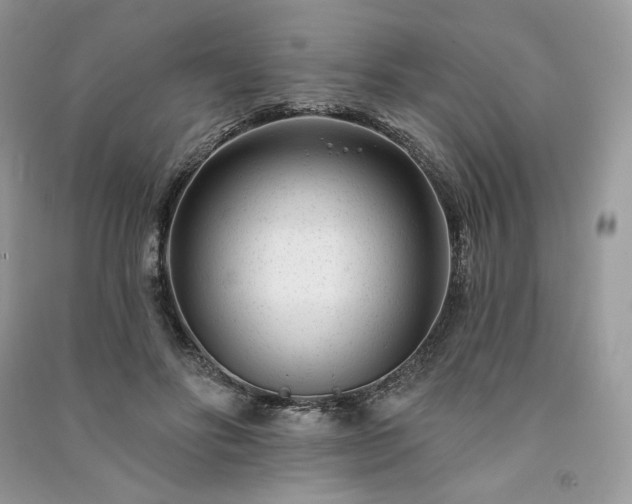 X0000091090502200708131322