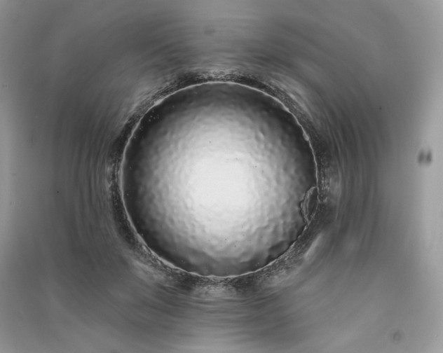 X0000091090503200708131322