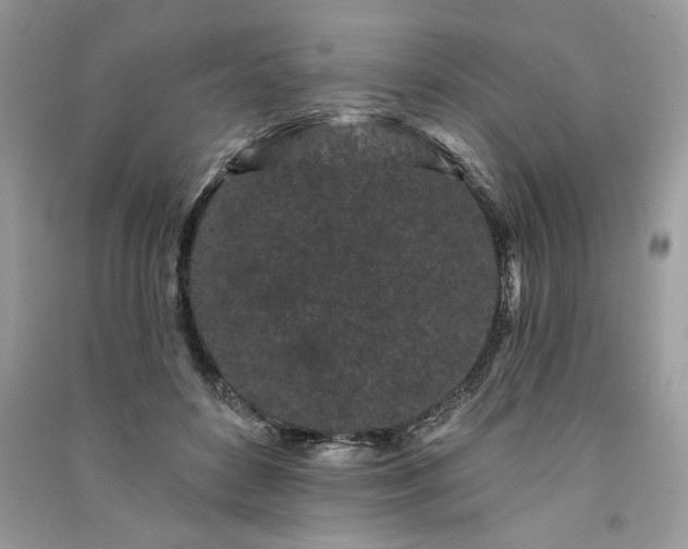 X0000091090504200708131322