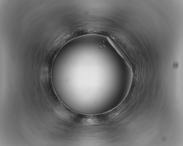 X0000091090506200708131322