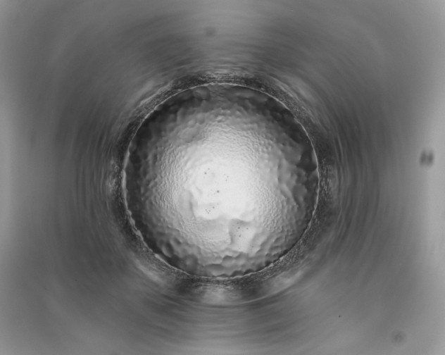 X0000091090507200708131322