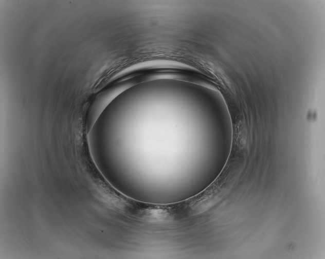 X0000091090509200708131322