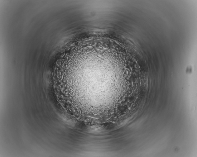 X0000091090511200708131322