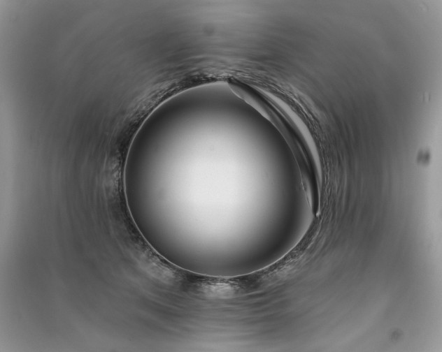 X0000091090513200708131322