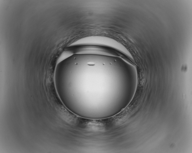 X0000091090515200708131322