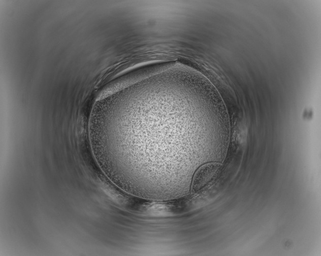 X0000091090518200708131322