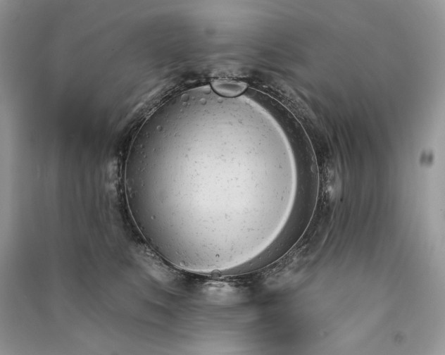 X0000091090519200708131322