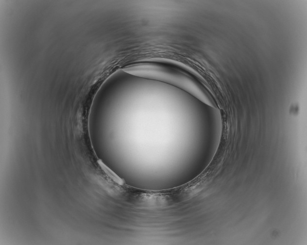 X0000091090520200708131322