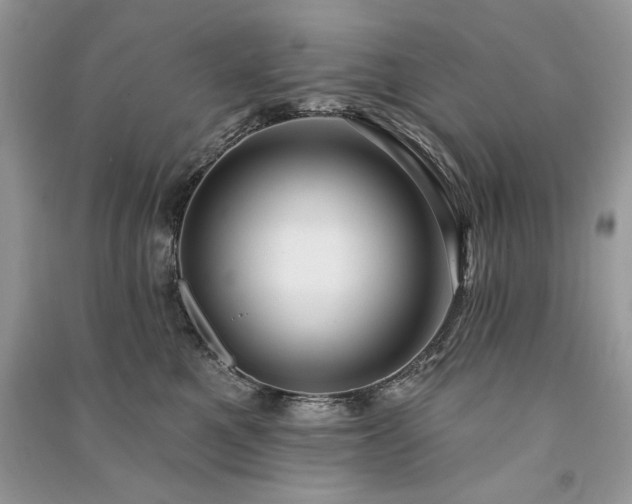 X0000091090521200708131322