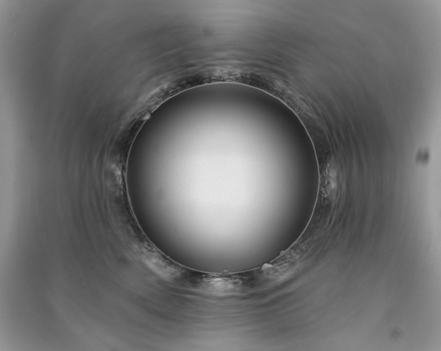 X0000091090522200708131322