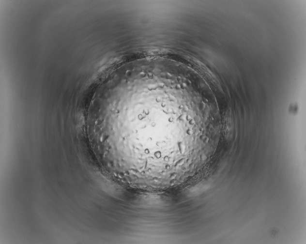 X0000091090523200708131322