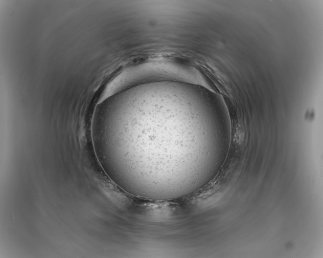 X0000091090524200708131322