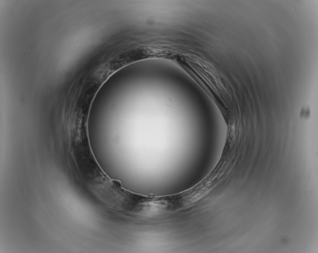 X0000091090525200708131322