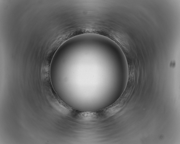 X0000091090526200708131322