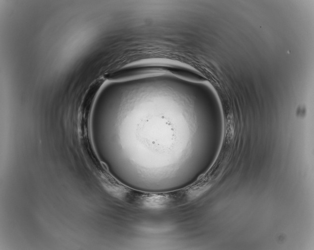 X0000091090527200708131322
