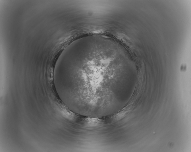 X0000091090528200708131322