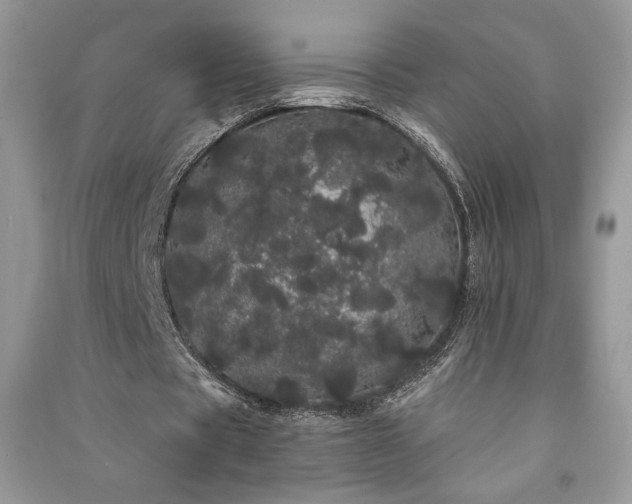 X0000091090529200708131321