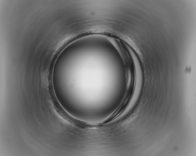 X0000091090530200708131321
