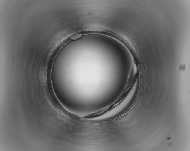 X0000091090531200708131321