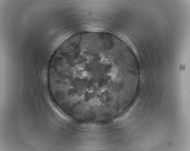 X0000091090533200708131321