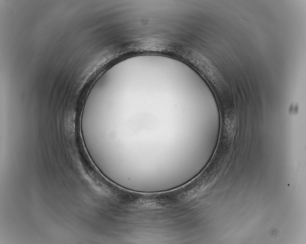 X0000091090534200708131321