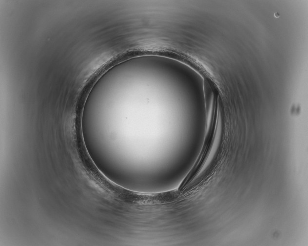 X0000091090535200708131321